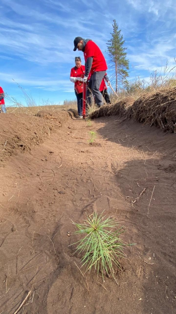 Добровольцы теперь знают, что такое «посадочная труба»