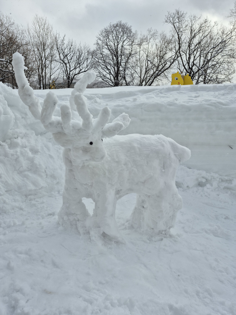 Подведены итоги конкурса "Обитатели заповедной Камчатки"