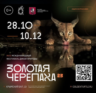 Название_ea317525-bc0324-40a7-8b1e-08dfcdf7ca47.jpg