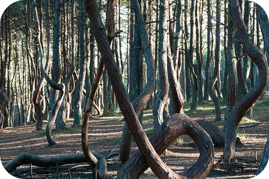 Curonian Spit National Park