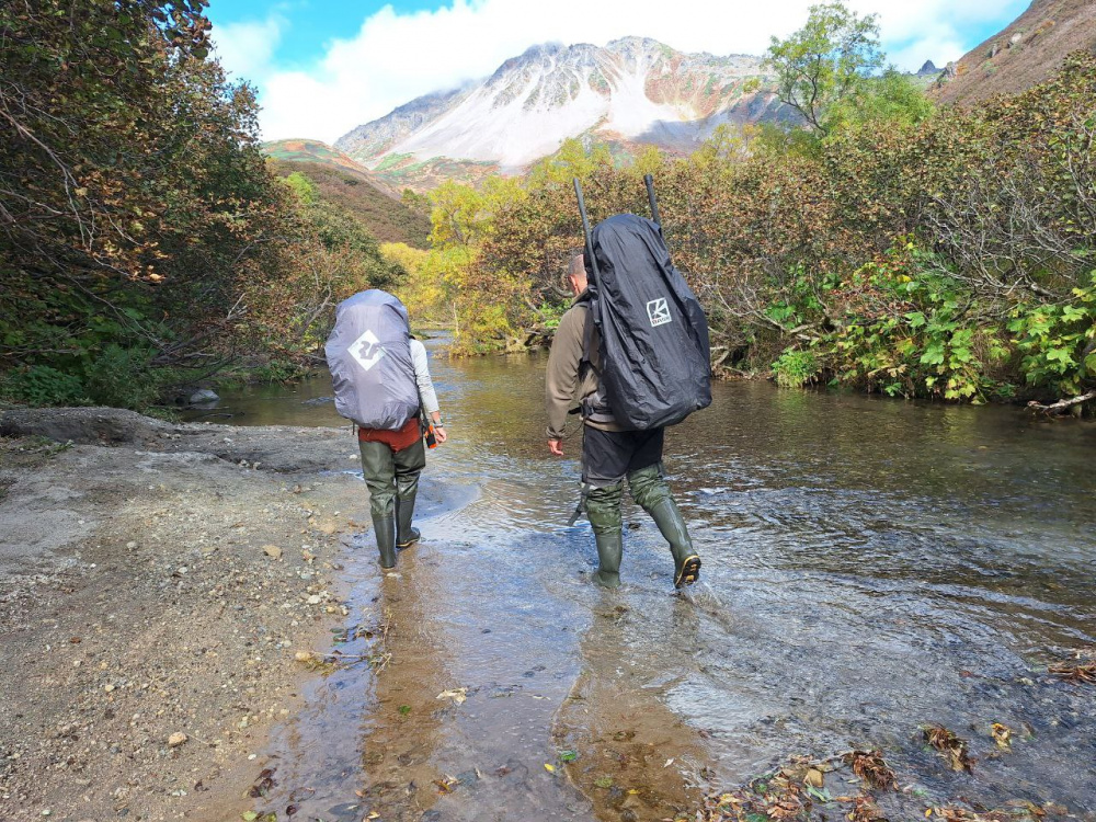 Экспедиция в Южно-Камчатский заказник