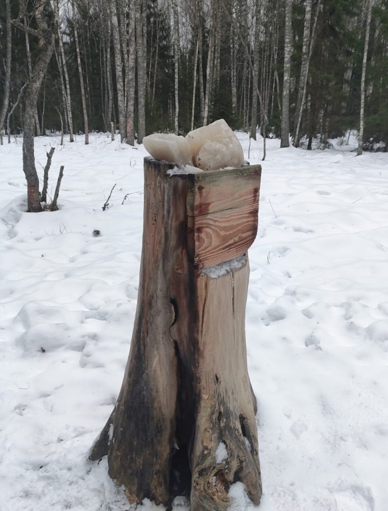 Минеральная подкормка_Нацпарк Плещеево озеро и заказник Ярославский