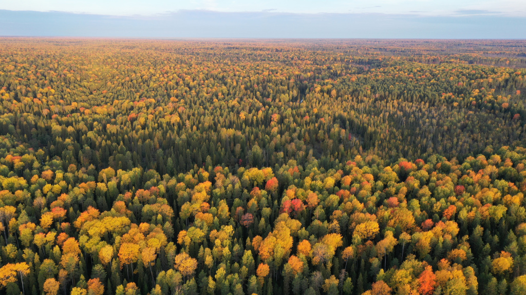 Панорама Койгородского нацпарка_Фото Владимира Горбатовского