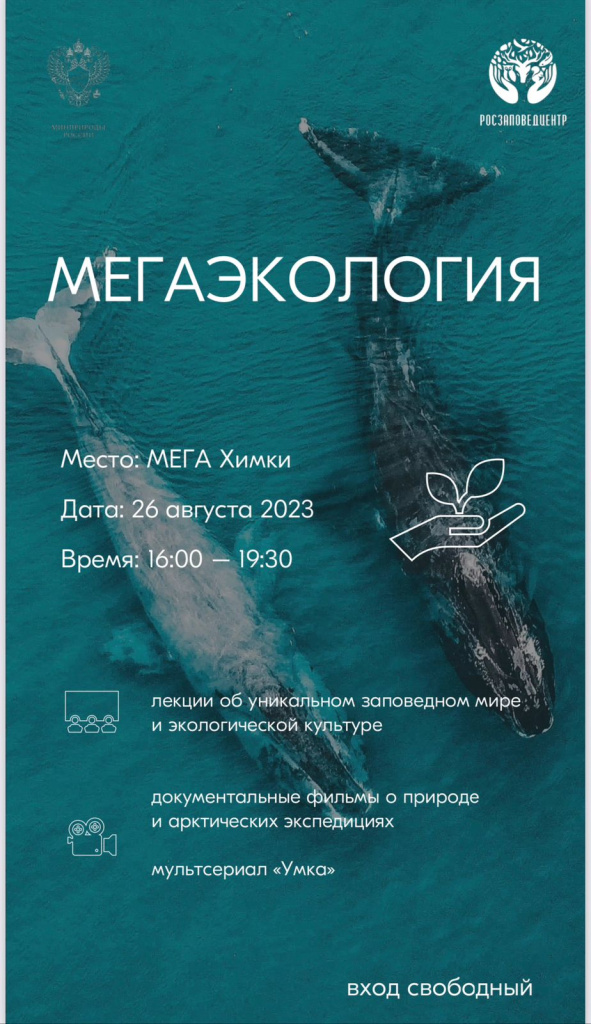 Название_161bfe48-f8d0-45df-a75d-96af112d5681.jpg