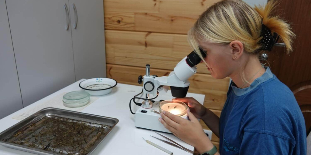 Полина Великоцкая за работой.jpg