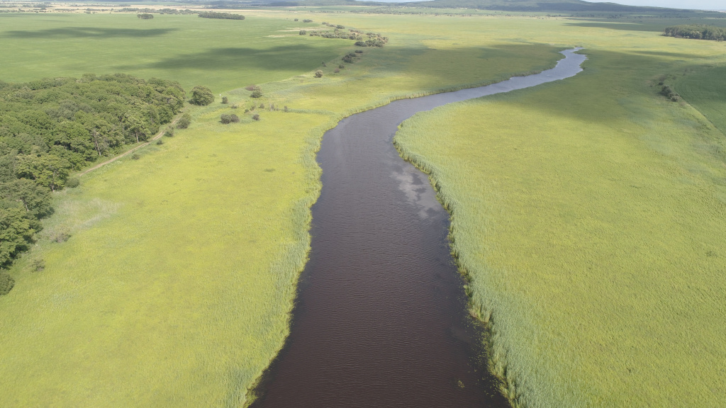 Озеро Кривое, Д. Красников