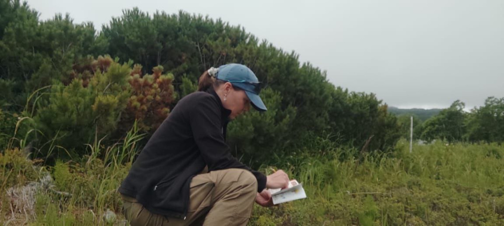 Наталья Акбирова ведет наблюдения за флорой Кроноцкого заповедника