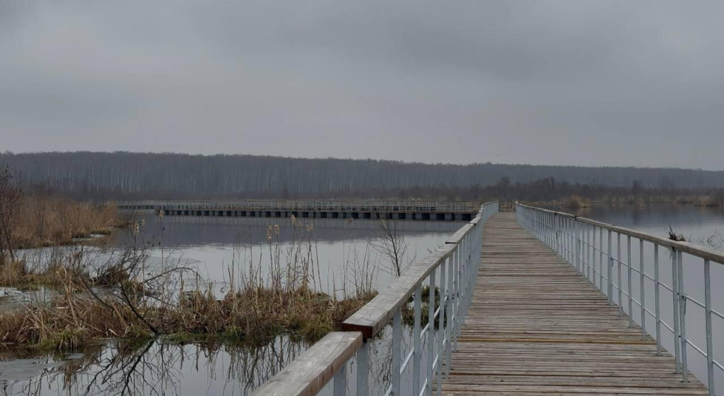 Понтонная тропа в нацпарке Лосиный остров