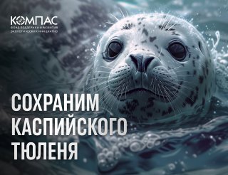 Название_67196748-f87d-4c6d-9fb9-4f030ae46456.jpg Название_67196748-f87d-4c6d-9fb9-4f030ae46456.jpg