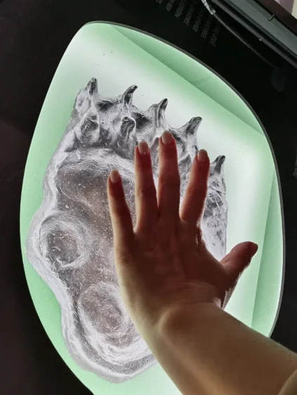 Интерактивная экспозиция «Заповедная Камчатка» Кроноцкого заповедника 