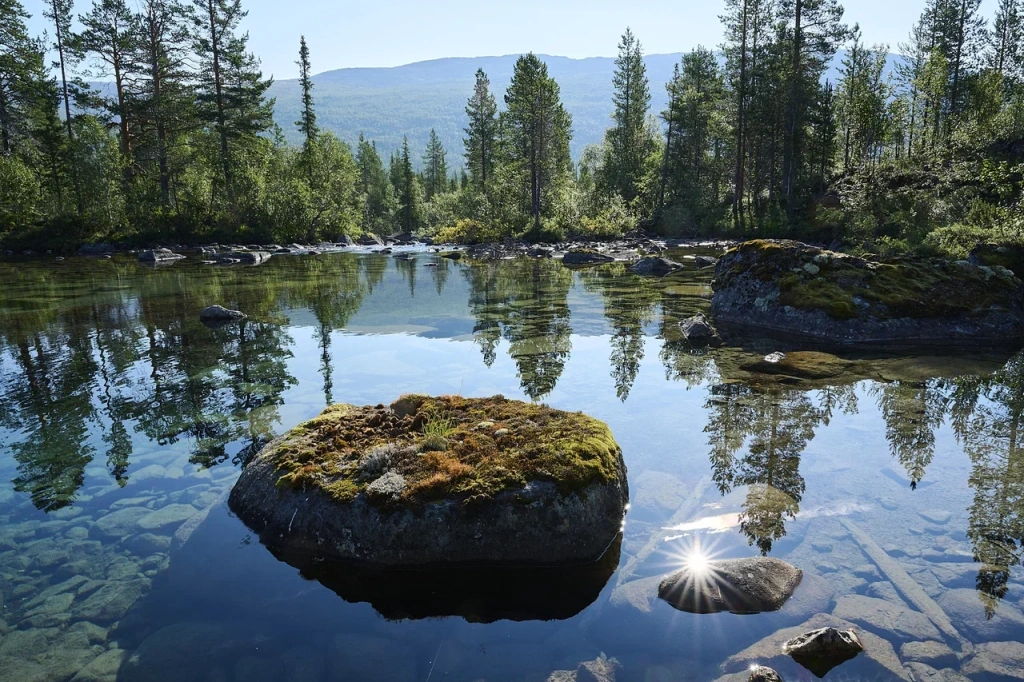 Плес на горной реке