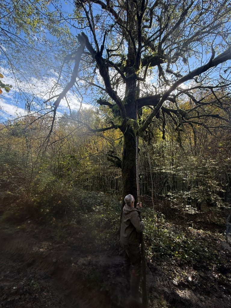 Изображение WhatsApp 2025-11-05 в 11.24.15_1eae8f83.jpg