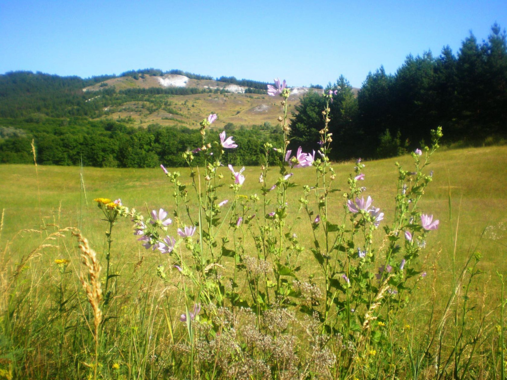 Хвалынский национальный парк_Антропов А.