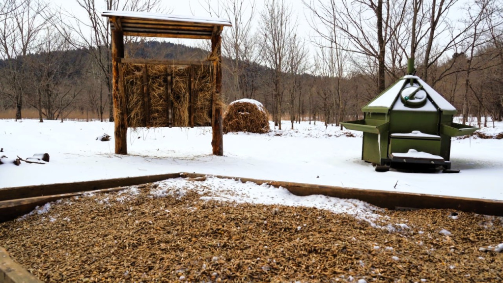Подкормочные площадки в нацпарке Земля леопарда
