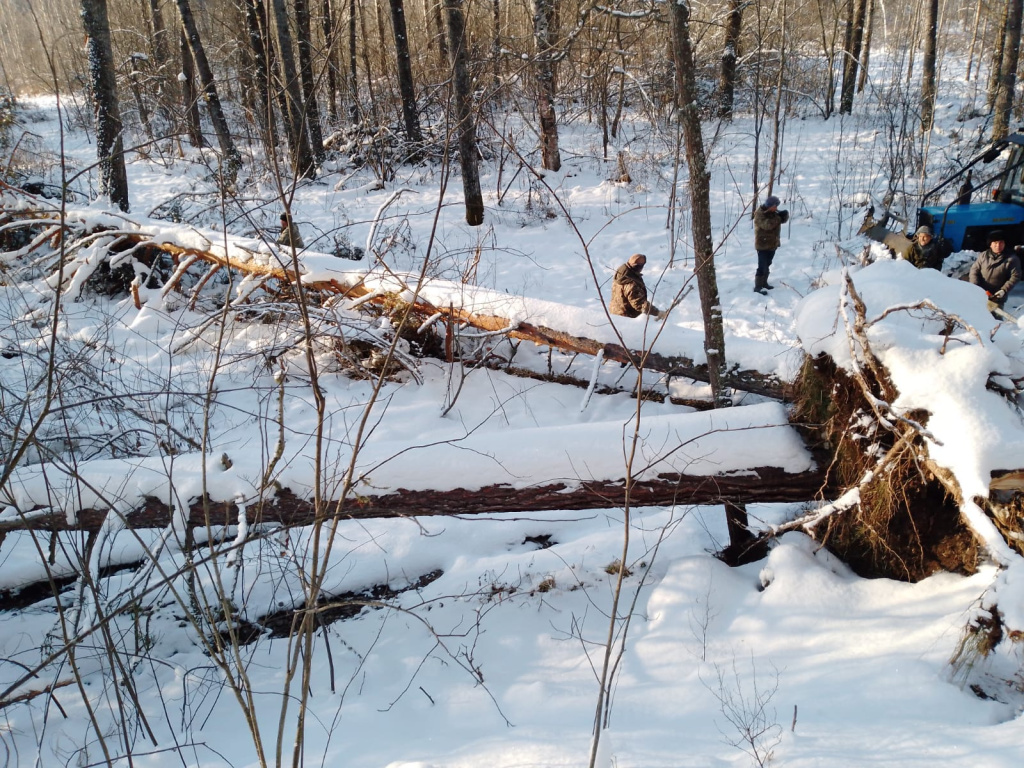 Расчистка противопожарной дороги_Заповедник Шульган Таш