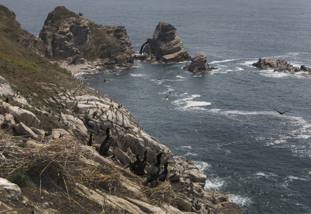 Дальневсоточный морской заповедник_Фото М.Склярова.jpg