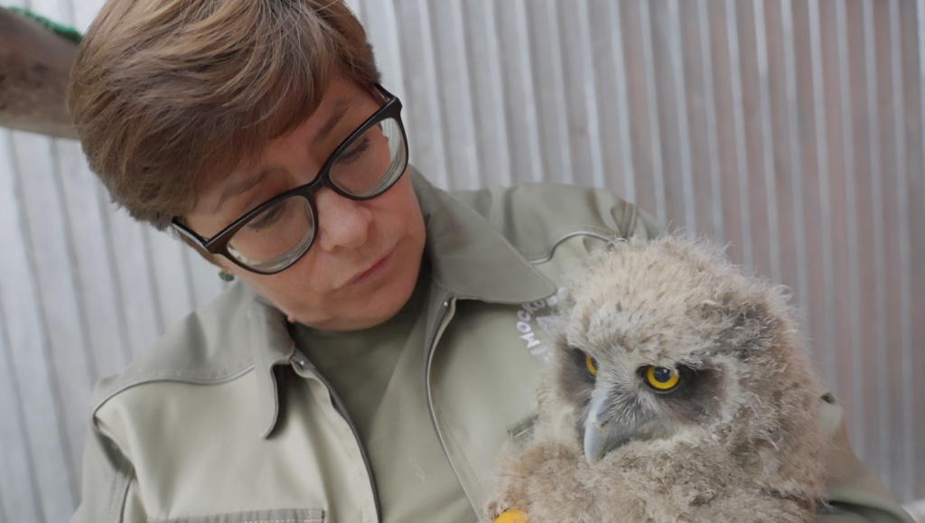 Рыбные филины_Фото пресс-службы Московского зоопарка 