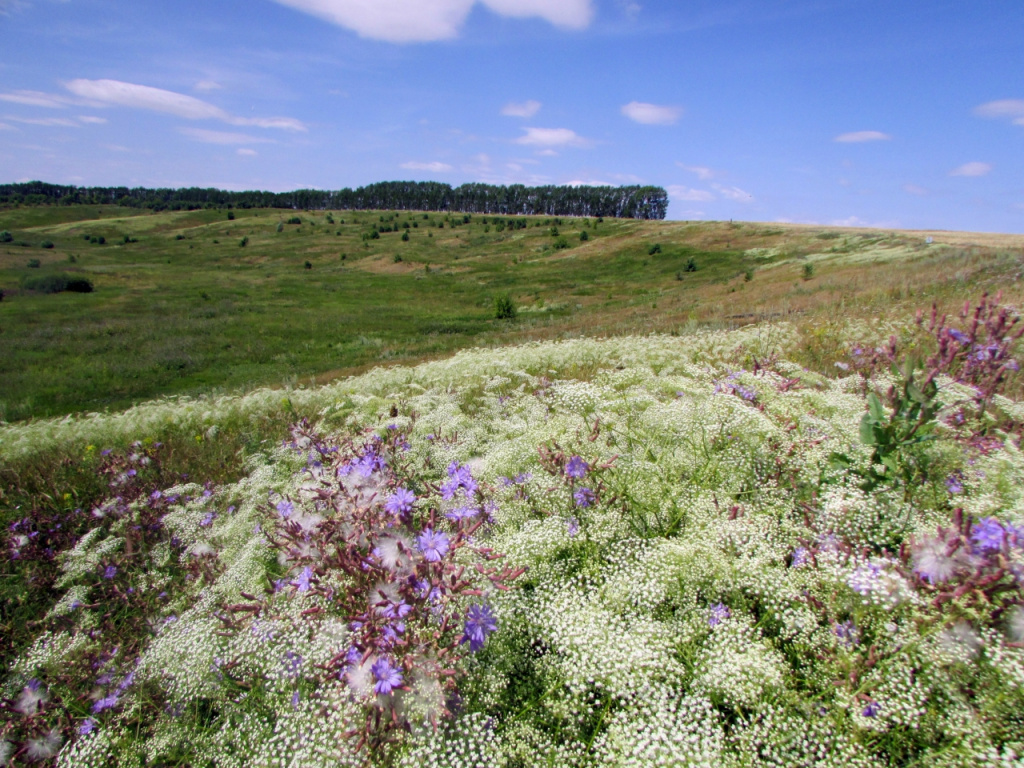 Батыревский участок Присурского заповедника_Фото ООПТ
