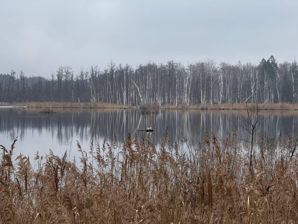 Верхнеяузский водно-болотный комплекс освободился ото льда _Нацпарк Лосиный остров.jpg