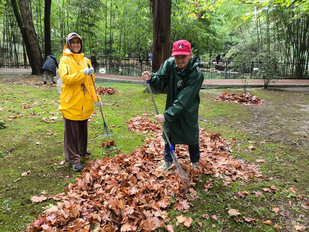 Волонтеры собирают листву в Дендрарии Сочинского нацпарка.jpeg