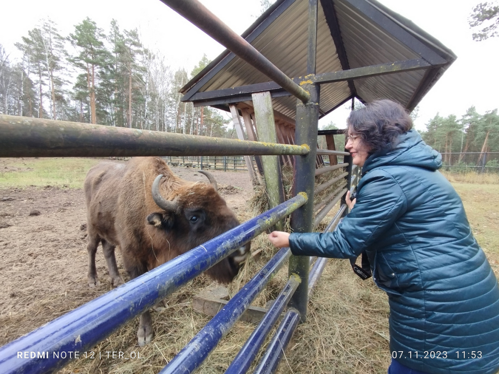 Екатерина Леонидовна Цибизова и зубр
