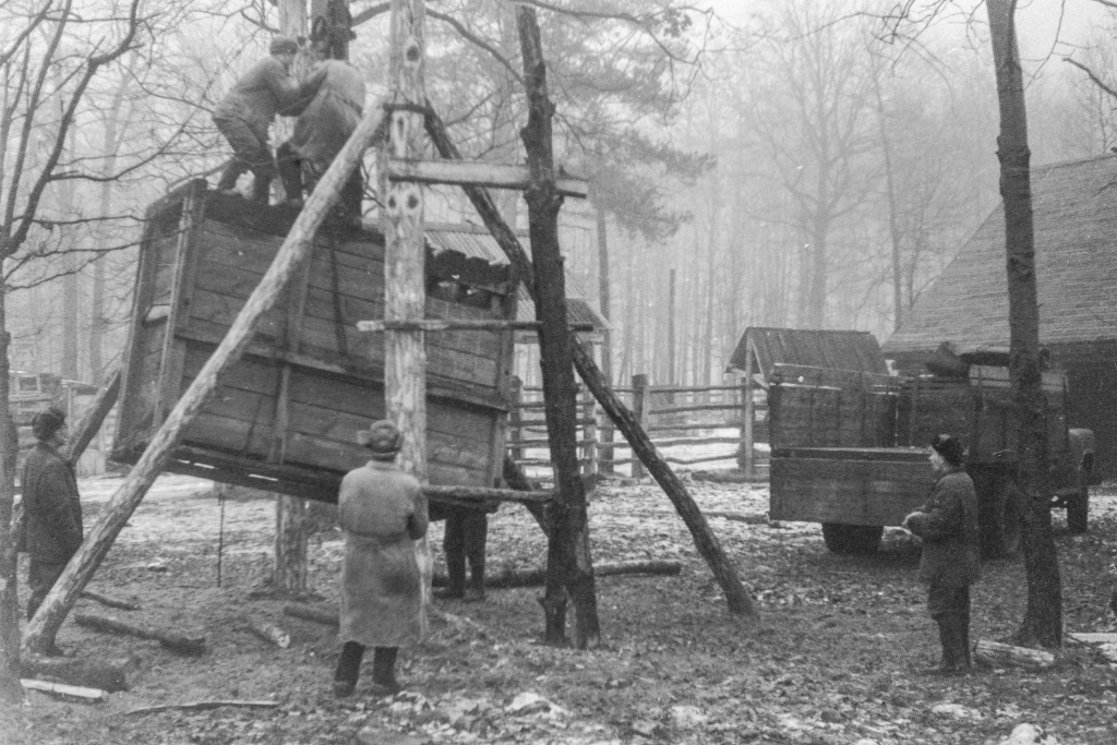 Название_9bfec26a-3fa6-4210-b78b3-d48569045a8d.jpg Название_9bfec26a-3fa6-4210-b78b3-d48569045a8d.jpg