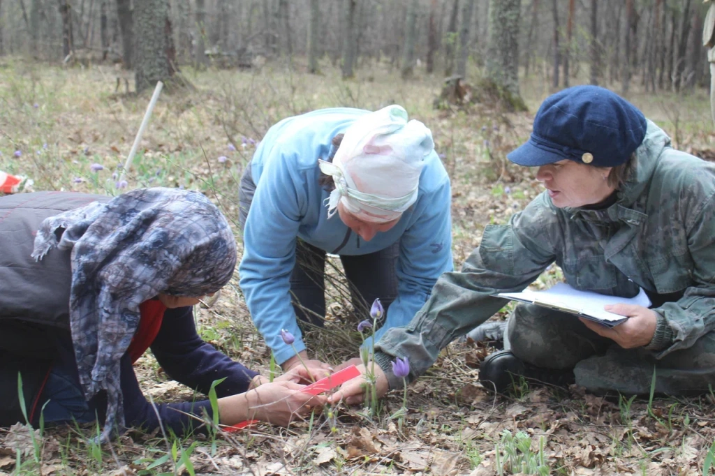 Полевые исследования в Воронинском заповеднике