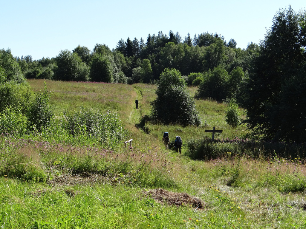 Тропами заповедного Кенозерья