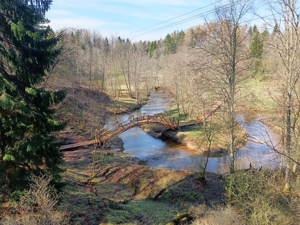 Мост Да Винчи_Валдайский нацпарк