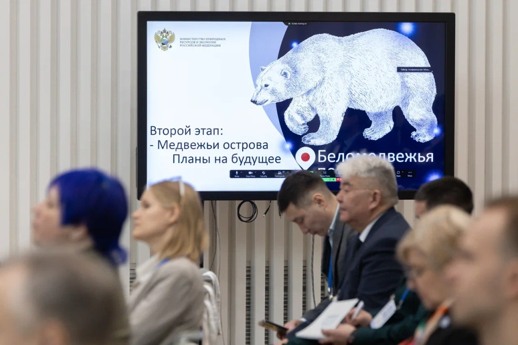 Название_d02561c4-93bc-4277-8ee5-491b48257366.jpg Название_d02561c4-93bc-4277-8ee5-491b48257366.jpg