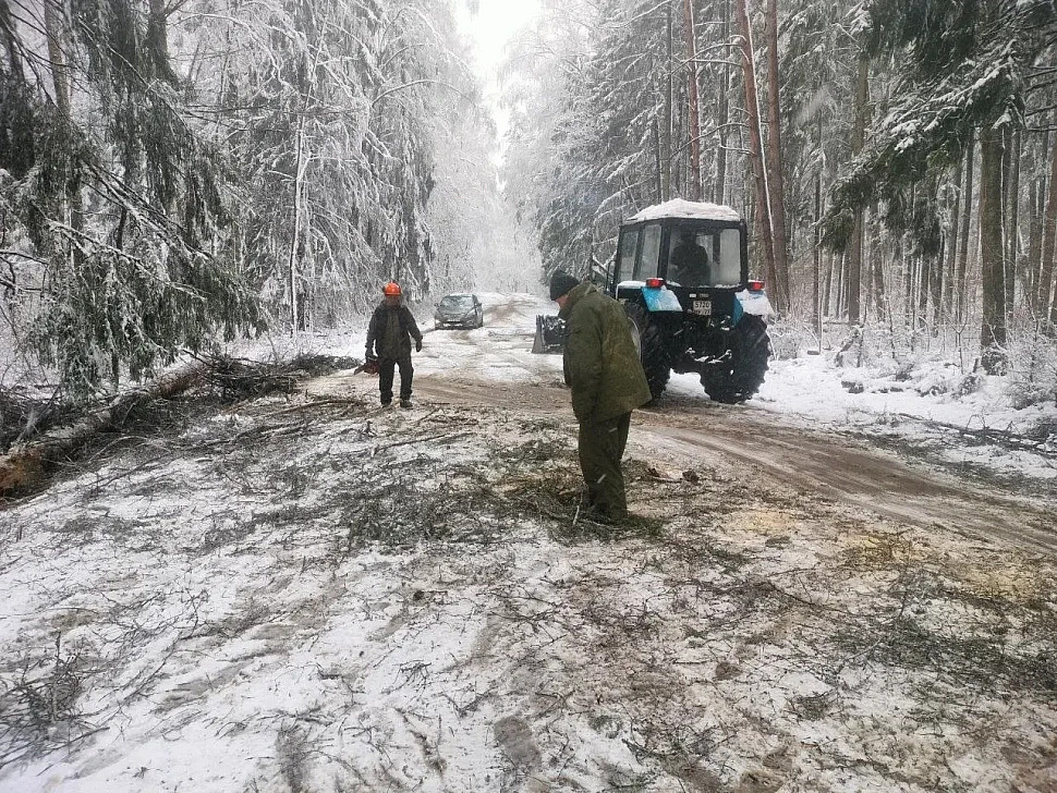 В нацпарке Лосиный остров устраняют последствия апрельской непогоды