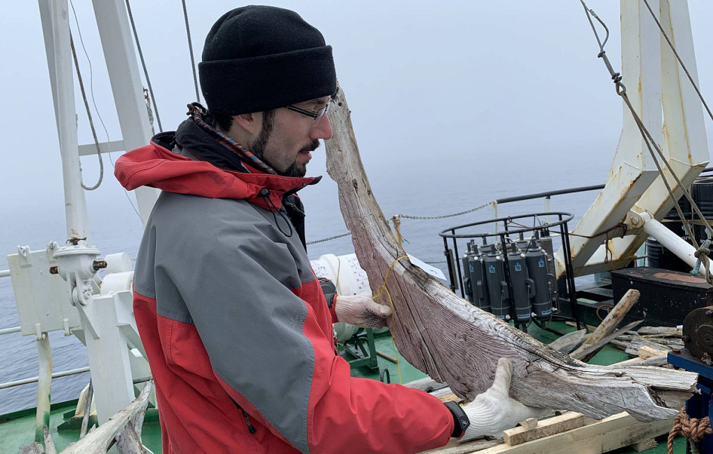 Евгений Ермолов с найденным фрагментом поморской шитой лодки_Фото Ирина Скалина.jpg