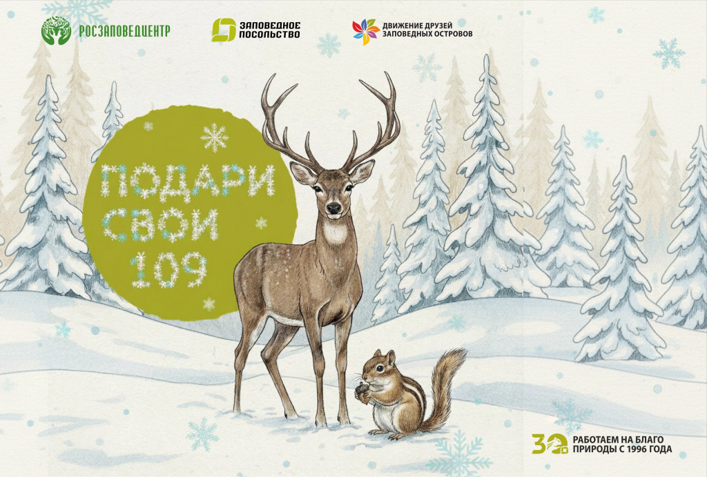 Подари свои 109.jpg