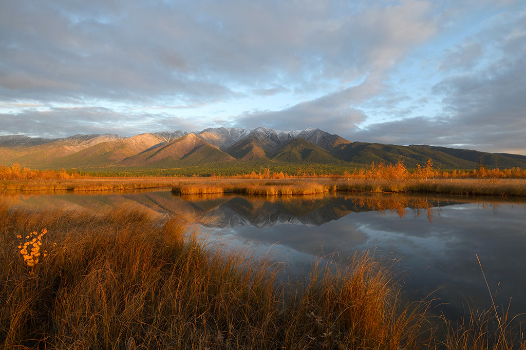 Золотая осень в Забайкальском нацпарке 