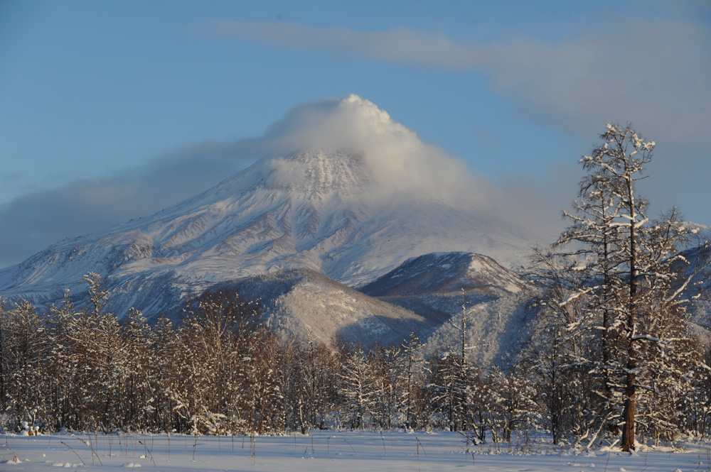 В Кроноцком заповеднике можно прокатится на лыжах по маршруту Зимняя сказка