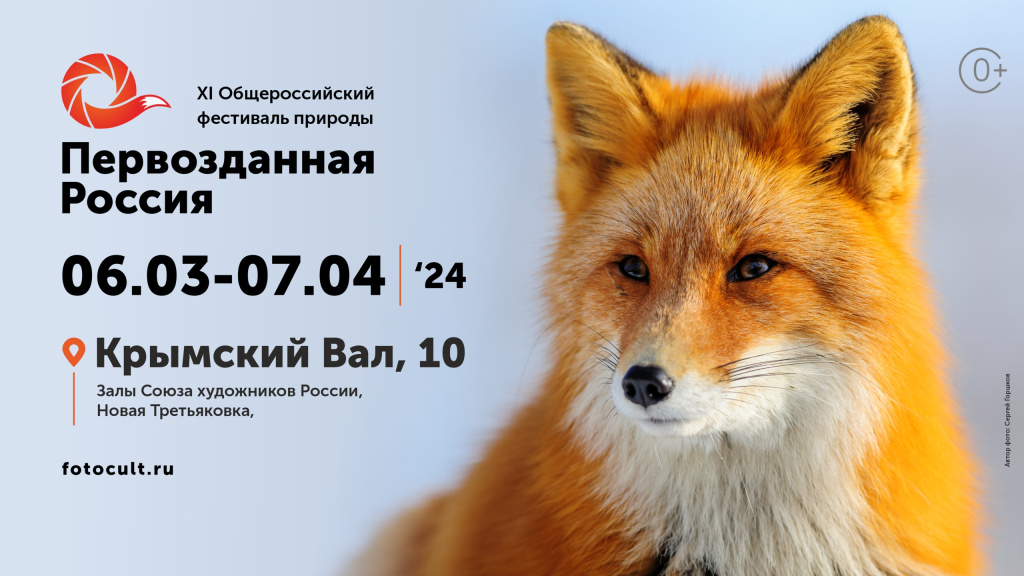 Название_2f3f0491-e45b-47aa-80e6-d0abcb6d284e.jpg Название_2f3f0491-e45b-47aa-80e6-d0abcb6d284e.jpg