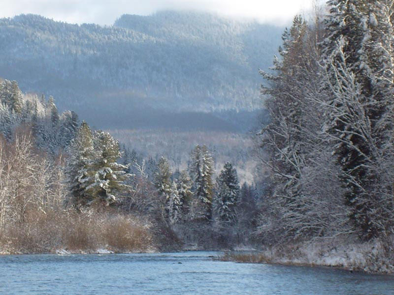 Шорский нацпарк зимой.jpg