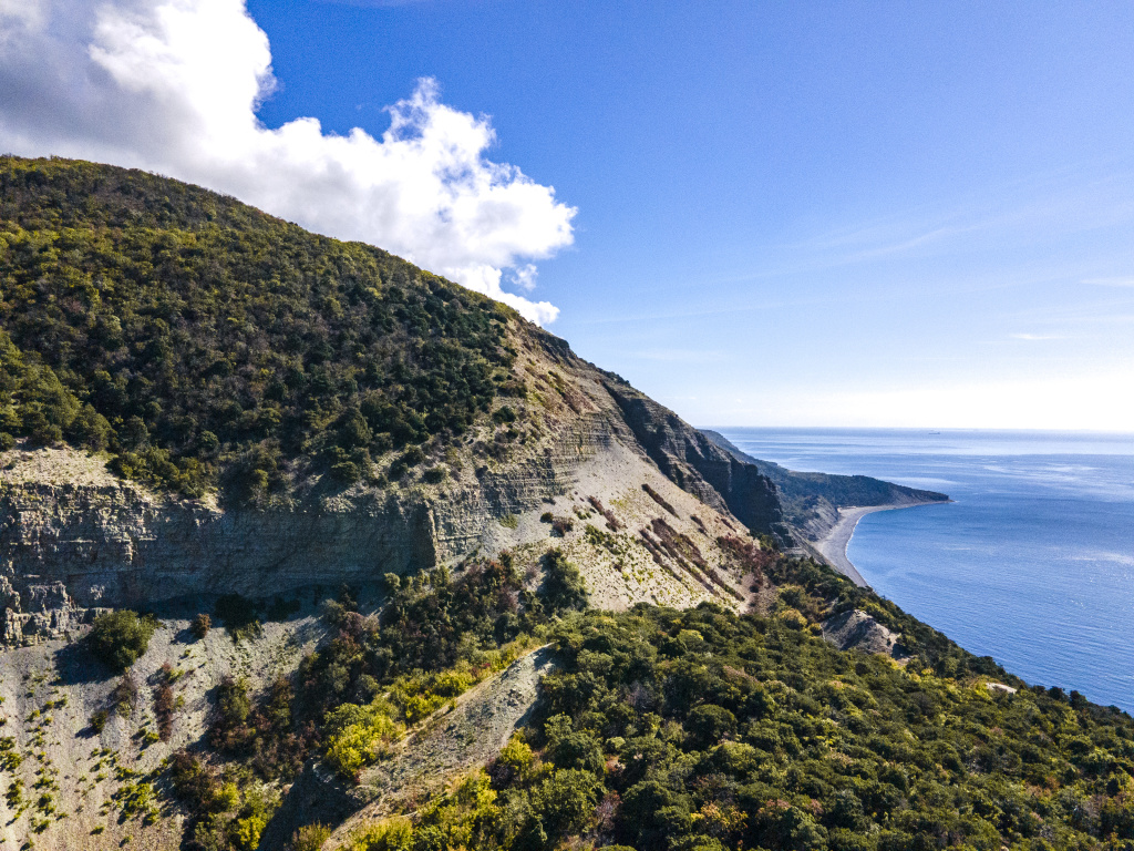 Экосистемы заповедника представлены сухими субтропиками с большим числом эндемиков и реликтов 