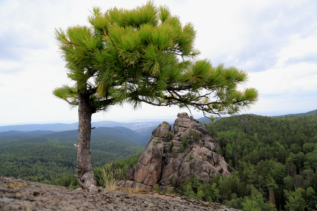 Вид на Первый столб_Красноярские Столбы_Фото Анатолий Коровин