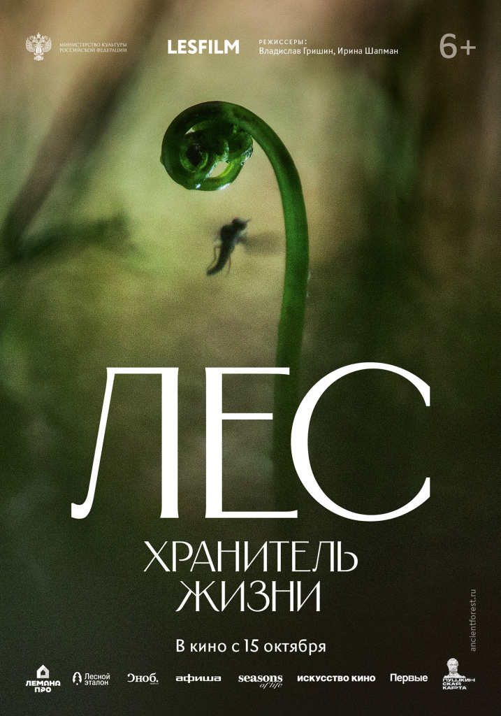 The-Ancient-Forest-CinemaPark-Poster-1400x2000.jpg