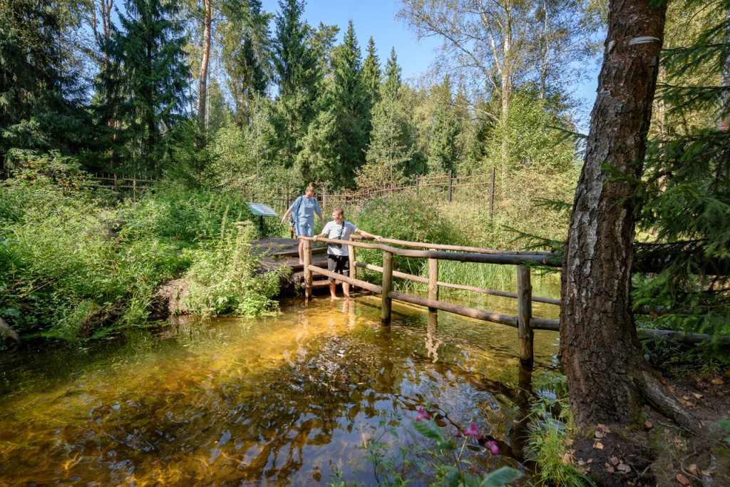 Босоногая тропа нацпарка Лосиный остров проходит даже через водоем 