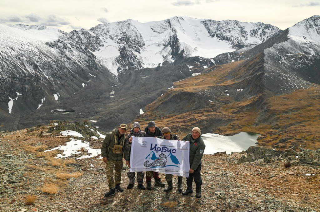 Исследования снежного барса проходят с участием ассоциации Ирбис