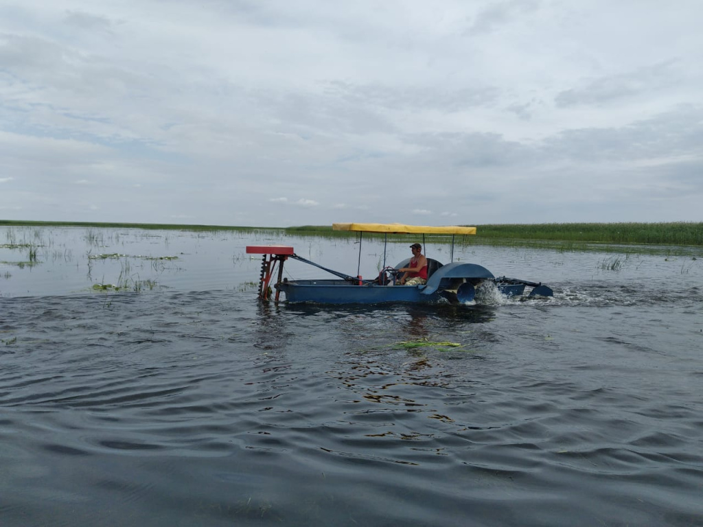 Водные прокосы защищают Астраханский заповедник от огня