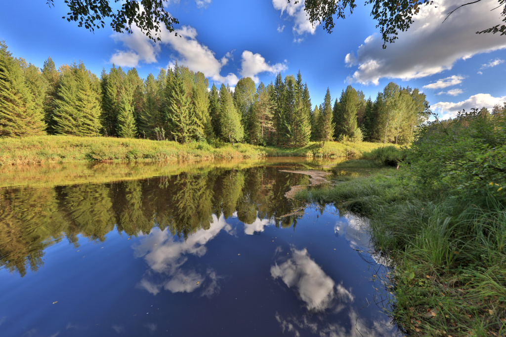 Река Кобра_Национальный парк Койгородский_Фото Владимира Горбатовского