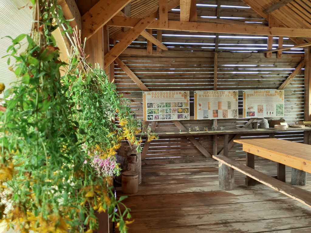 Экспозиция Пчеловодство в заповеднике Большая Кокшага