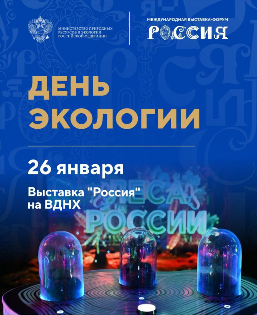 Название_cc55864e-87dc-4600-ba13-37d231c1969e.jpg