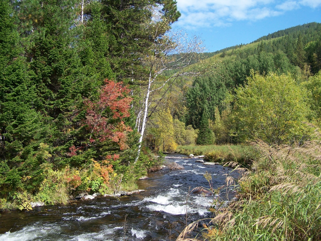 Осень раскрасила Байкальский заповедник яркими красками. Фото Василий Сутула