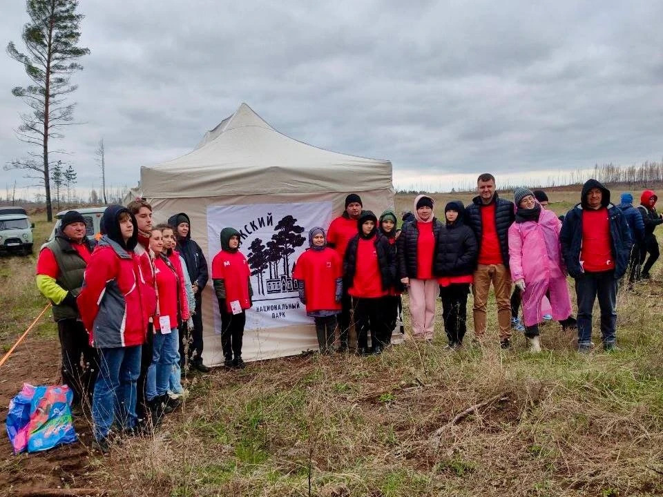 В национальном парке "Бузулукский бор" начат новый лесовосстановительный сезон