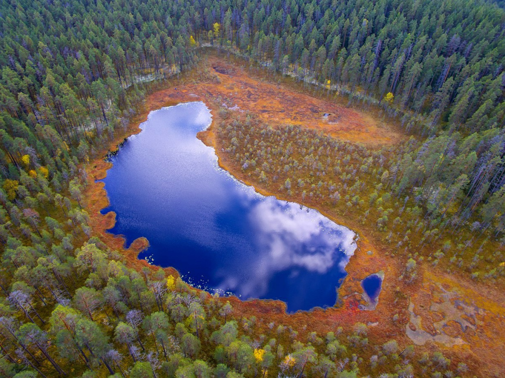 Заповедник Кивач. Чудесная ламба. Сопохский бор. А. Федосов
