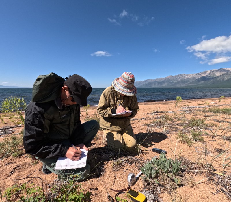 Ученые изучают хрупкую растительность Чивыркуйского перешейка_в Забаййкальском нацпарке